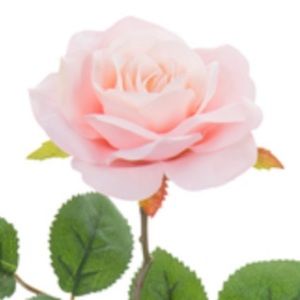 Meet your Posher, Kay